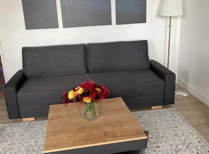 Grand Appartement Courbevoie Paris